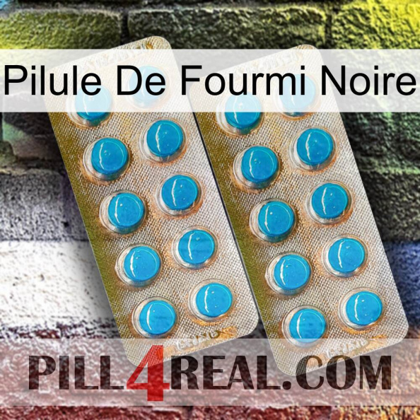 Black Ant Pill new08.jpg